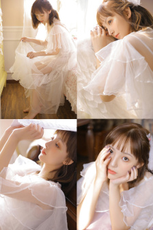 河北梆子蝴蝶杯